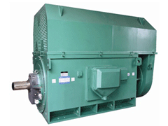 YJTGKK5001-8YKK系列高压电机